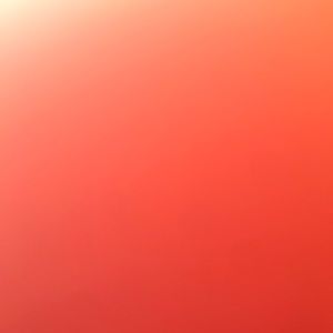 Meet your Posher, Craig